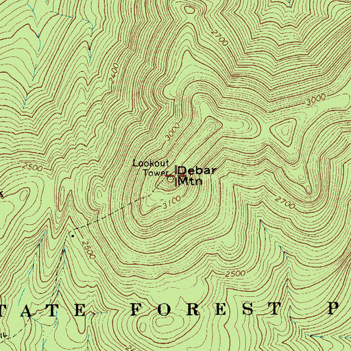Topographic Map of Debar Mountain, NY
