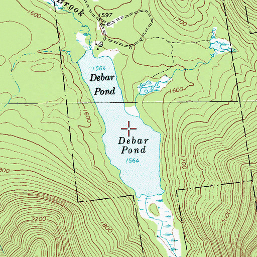 Topographic Map of Debar Pond, NY