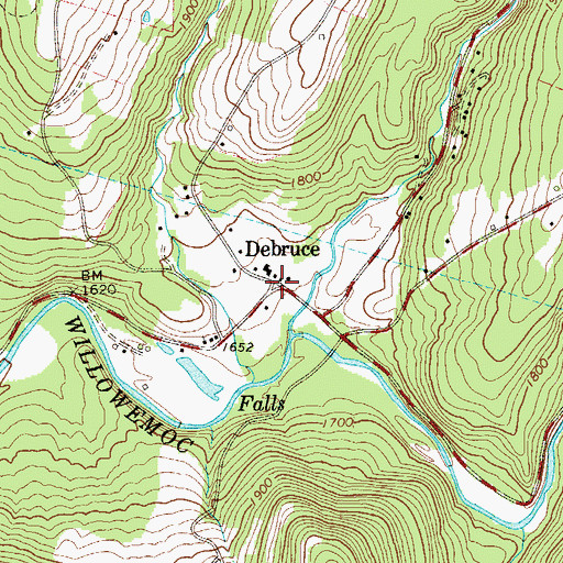 Topographic Map of Debruce, NY