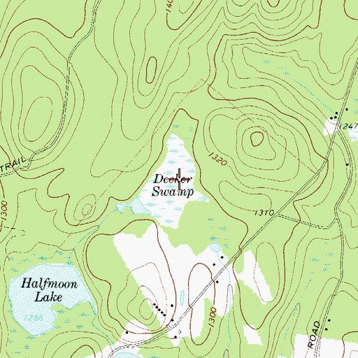 Topographic Map of Decker Swamp, NY