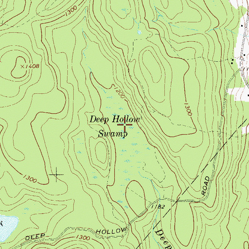 Topographic Map of Deep Hollow Swamp, NY