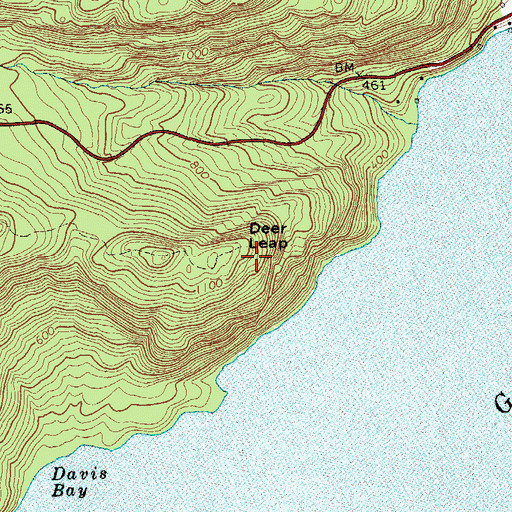 Topographic Map of Deer Leap, NY