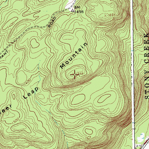 Topographic Map of Deer Leap Mountain, NY