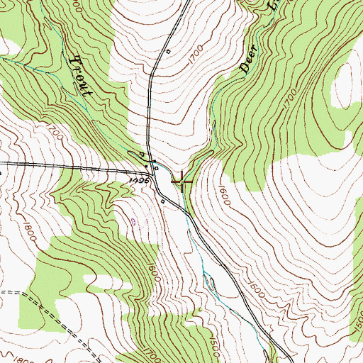 Topographic Map of Deer Lick Run, NY