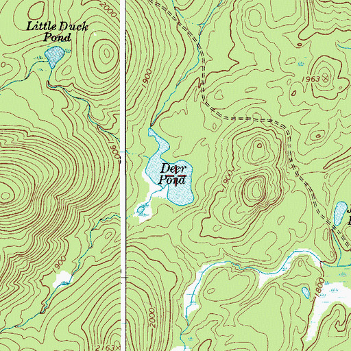 Topographic Map of Deer Pond, NY