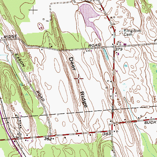 Topographic Map of Deer Ridge, NY