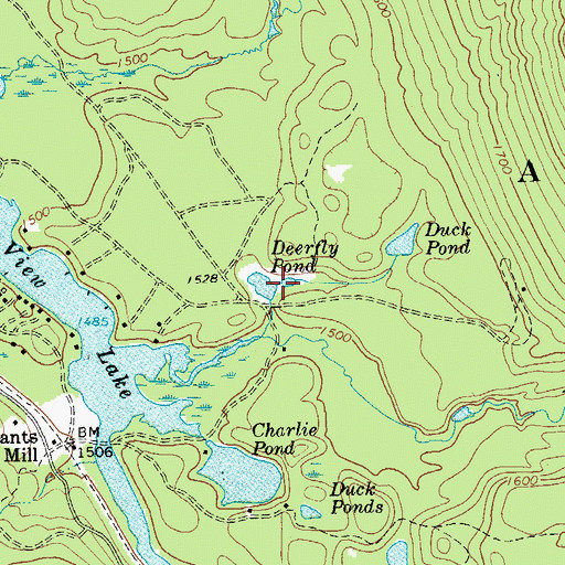 Topographic Map of Deerfly Pond, NY