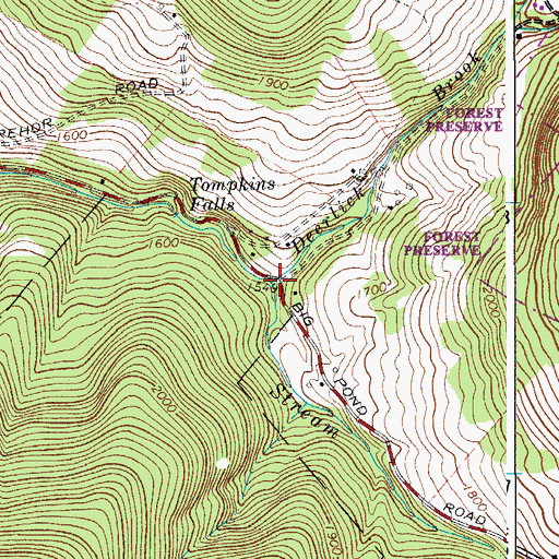 Topographic Map of Deerlick Brook, NY