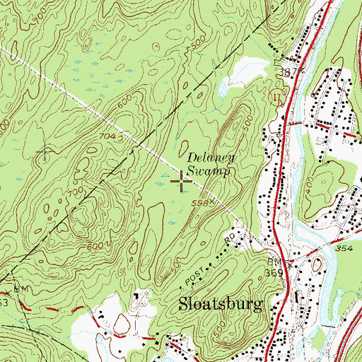 Topographic Map of Delaney Swamp, NY