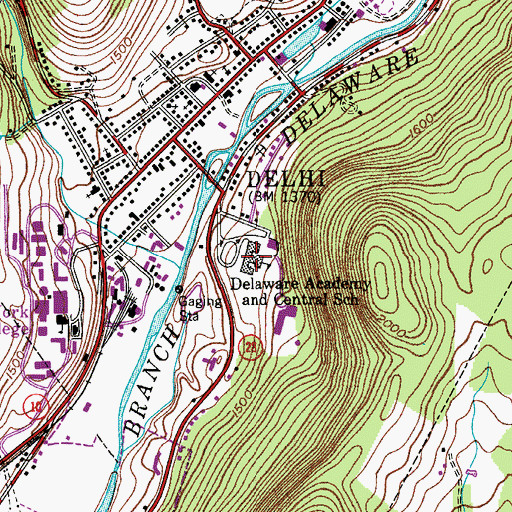 Topographic Map of Delaware Academy and Central School, NY