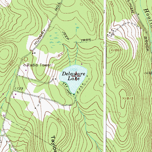 Topographic Map of Delaware Lake, NY