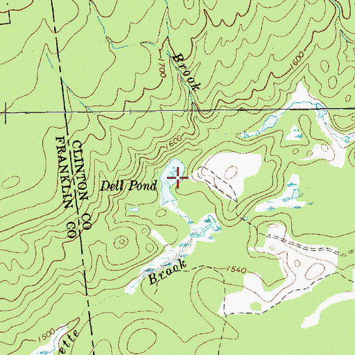 Topographic Map of Dell Pond, NY