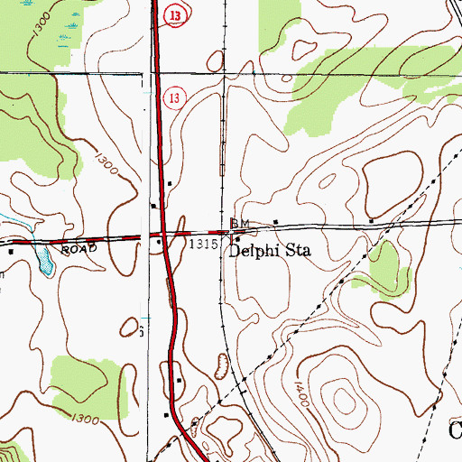 Topographic Map of Delphi Station, NY