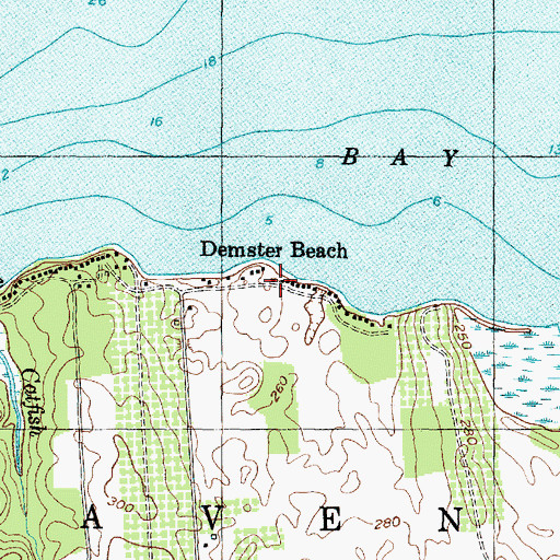 Topographic Map of Demster Beach, NY