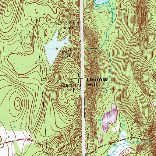 Topographic Map of Dennis Hill, NY