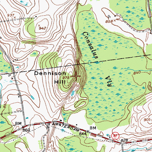 Topographic Map of Dennison Hill, NY