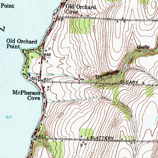 Topographic Map of Denshore Gully, NY