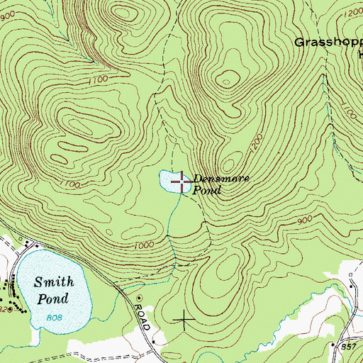 Topographic Map of Densmore Pond, NY