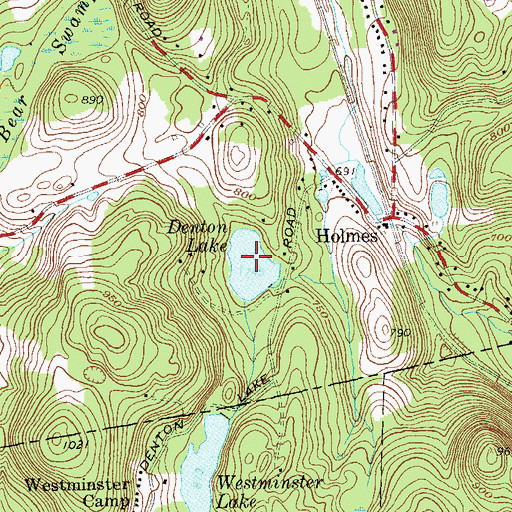 Topographic Map of Denton Lake, NY