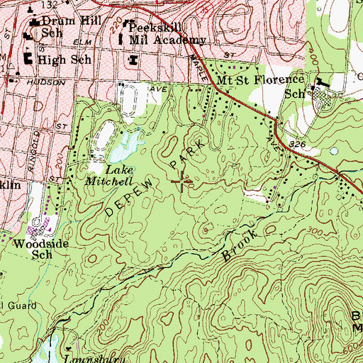 Topographic Map of Depew Park, NY