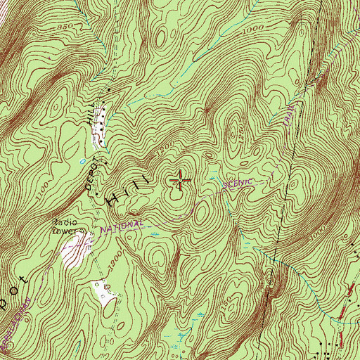 Topographic Map of Depot Hill, NY