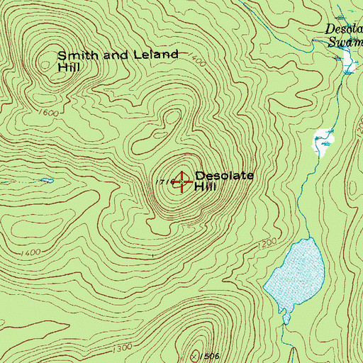 Topographic Map of Desolate Hill, NY