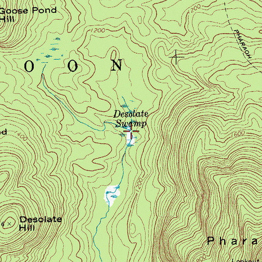 Topographic Map of Desolate Swamp, NY