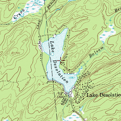 Topographic Map of Lake Desolation, NY