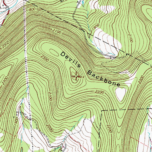 Topographic Map of Devils Backbone, NY