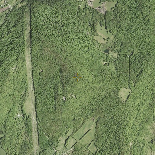 Aerial/Satellite Image of Devils Backbone, NY