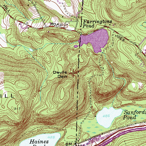 Topographic Map of Devils Den, NY