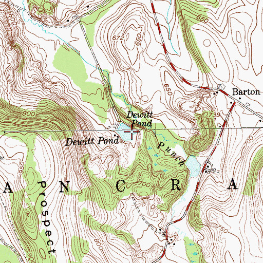 Topographic Map of Dewitt Pond, NY