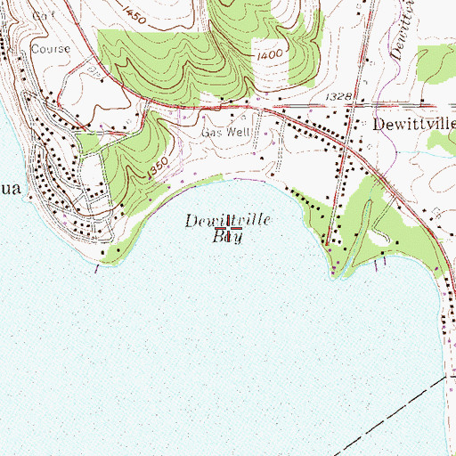 Topographic Map of Dewittville Bay, NY