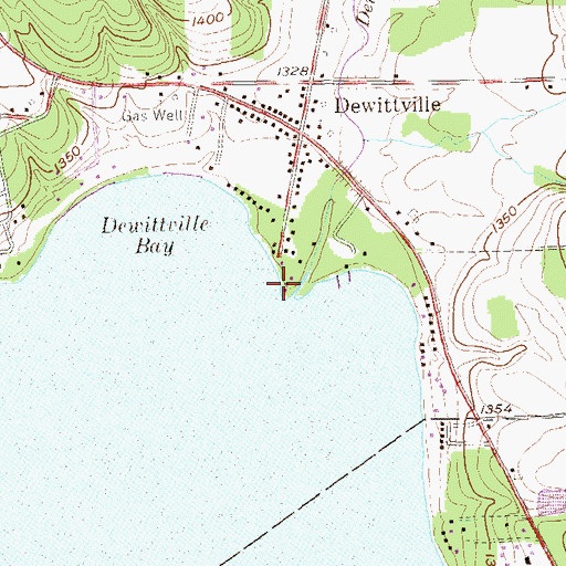 Topographic Map of Dewittville Creek, NY