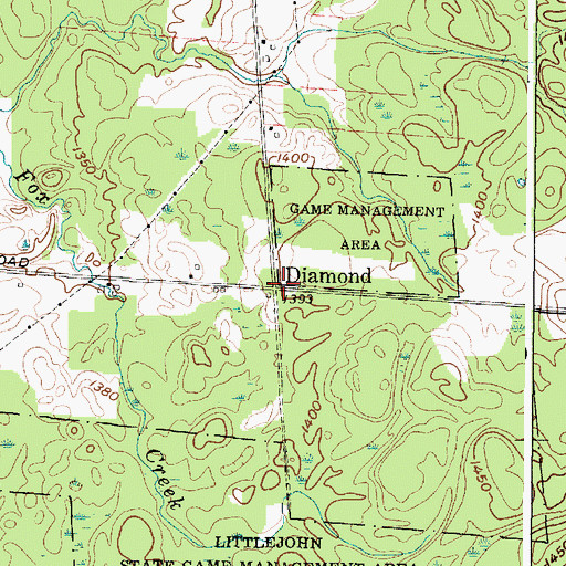 Topographic Map of Diamond, NY