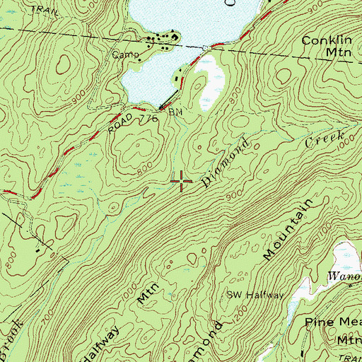 Topographic Map of Diamond Creek, NY
