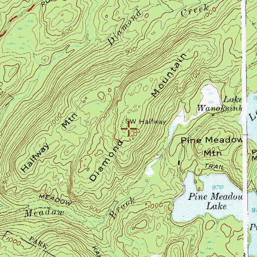 Topographic Map of Diamond Mountain, NY