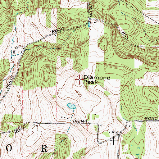 Topographic Map of Diamond Peak, NY