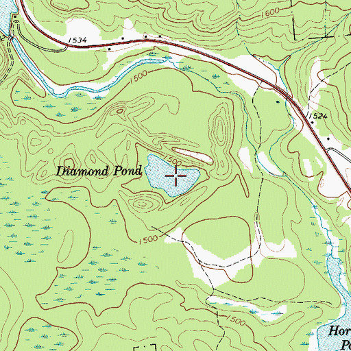 Topographic Map of Diamond Pond, NY