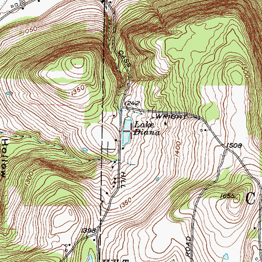 Topographic Map of Lake Diana, NY
