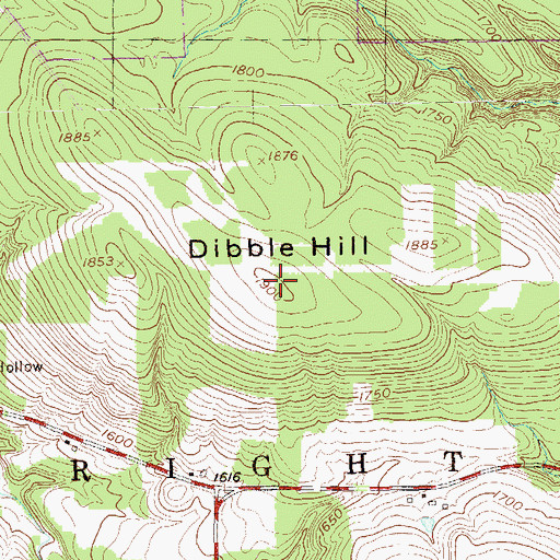 Topographic Map of Dibble Hill, NY