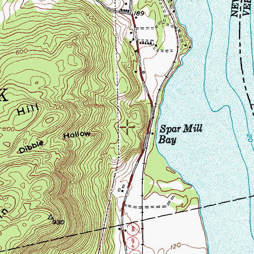 Topographic Map of Dibble Hollow, NY