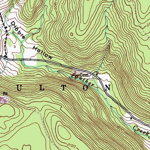 Topographic Map of Dibble Hollow, NY