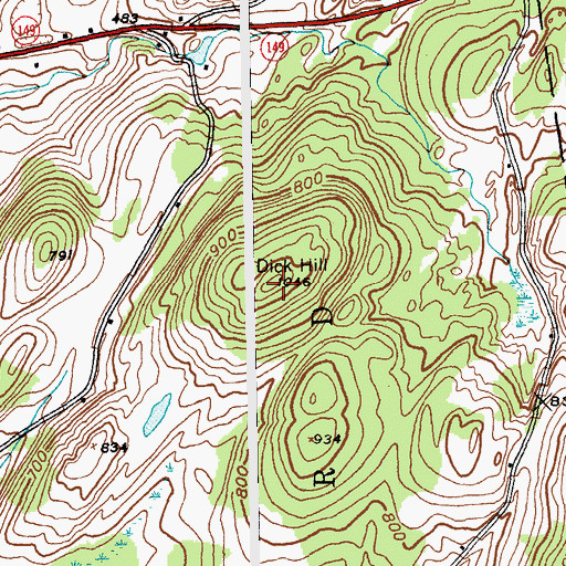 Topographic Map of Dick Hill, NY
