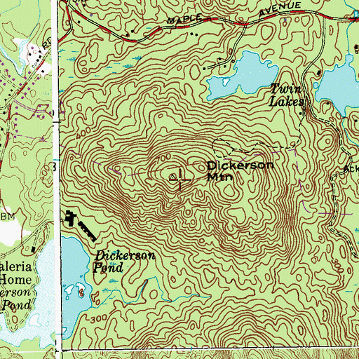 Topographic Map of Dickerson Mountain, NY