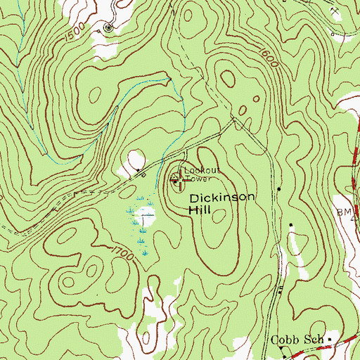 Topographic Map of Dickinson Hill, NY