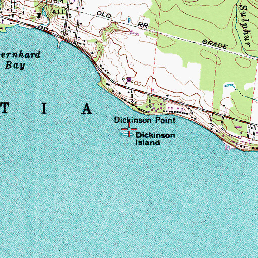 Topographic Map of Dickinson Island, NY