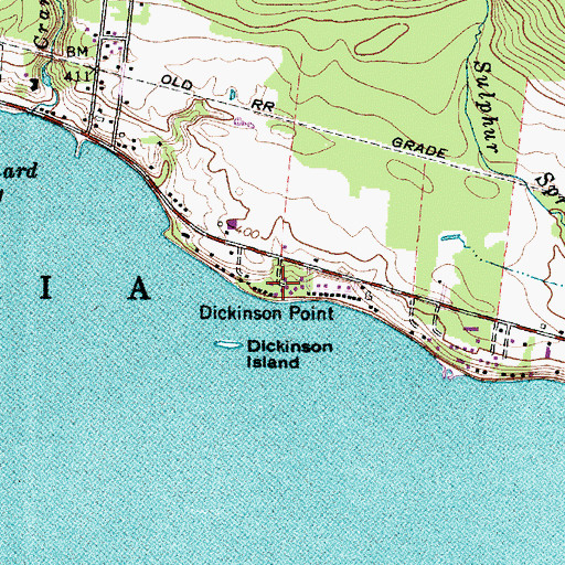 Topographic Map of Dickinson Point, NY