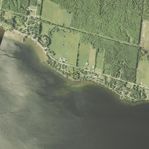 Aerial/Satellite Image of Dickinson Point, NY