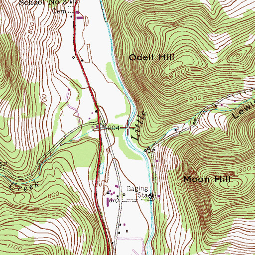 Topographic Map of Dill Creek, NY